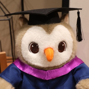 Peluche Gufo Dottore Personalizzato OEM da 9,5 Pollici, Mascotte Gufo Professor Personalizzata per Regalo Promozionale - Product Image 2