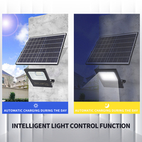 WOOJONG 2024 IP65 tahan air Solar lampu banjir 150 lampu LED untuk taman dan gudang jual panas luar ruangan Solar lampu sorot