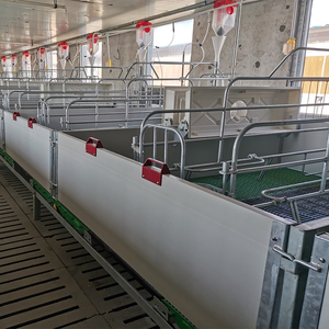 Lit de mise bas ventilé pour l'Asie du Sud, cage de mise bas pour truies galvanisée à chaud avec plancher antidérapant, équipement d'élevage porcin - Product Image 3