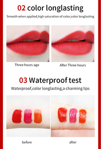 High Quality Mineral Matte Waterproof Liquid <b>Lip</b> <b>Gloss</b> Private Label Makeup with Custom Colors - Product Image 4