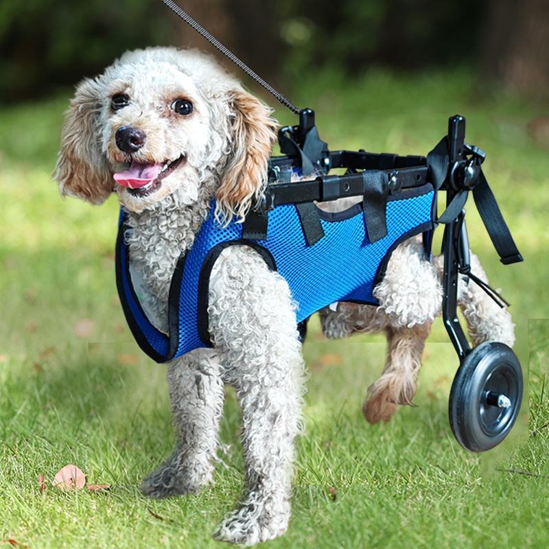 Wheels For Dogs Back Legs Dog Wheelchair Wheels Cart For Full