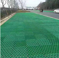Dalles de pavage en grille de gravier en plastique écologique HDPE pour allées perméables, tapis de pavage pour manège et écurie, contrôle de l'érosion du sol et gestion de l'eau