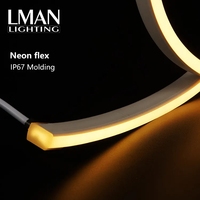 Bande LED néon flexible SMD2835 en PVC de haute qualité, étanche IP68, 12W/m, DC24V, avec entrée de câble latérale, dimmable