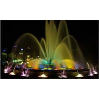 Fuente de Agua Danzante de Alta Calidad para Exteriores, Espectáculo Acuático con Control DMX 512, Fuente Musical Colorida