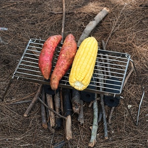 Outdoor Edelstahl <span class=keywords><strong>Camping</strong></span> Grill Tragbare faltbare Racks Brenner Herd Stand Picknick Koch ausrüstung Barbecue Brazier Stand - Product Image 3