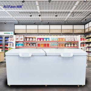 Réfrigérateur commercial professionnel à <span class=keywords><strong>double</strong></span> <span class=keywords><strong>porte</strong></span> avec congélateur profond, équipement de réfrigération fiable pour le stockage de la viande et des fruits de mer - Product Image 3