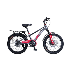 Bicicleta de Montaña Familiar de Una Velocidad con Frenos de Disco y Horquilla de Acero Estándar, Marca BDF-SDYJ Family BDF-S, de Tienda Mayorista China - Product Image 6