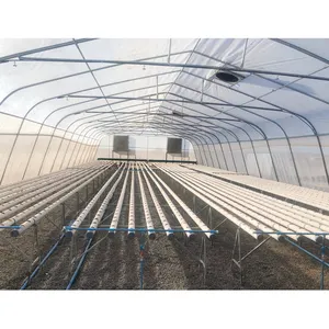 Plastic film agricultural tomato greenhouse with solar system Saudi Arabia project with quick construction