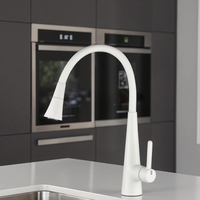 Robinet de cuisine SANIVITAL de luxe moderne à poignée unique en acier inoxydable 304 finition chromée avec douchette flexible en céramique pour hôtel