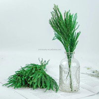 Arrangements de fleurs séchées et décorations d'intérieur DIY Eternal Stone Pine, durables, pour mariages, Pâques, Saint-Valentin