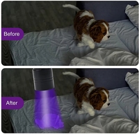 Lampes de poche UV1 Taidarui étanches à lumière noire, 12 LED 395nm, mini lampe torche détecteur de taches d'urine d'animaux