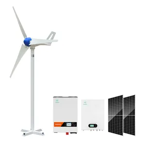 Iucan-turbina aerogeneradora de baja velocidad, generador eólico de 3kw y 5kw, 3000 vatios y 110V