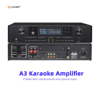 Amplificateur audio professionnel numérique stéréo avec effets d'écho pour karaoké KTV, 2*300W, boîtier métallique, système de sonorisation professionnel, mixeur