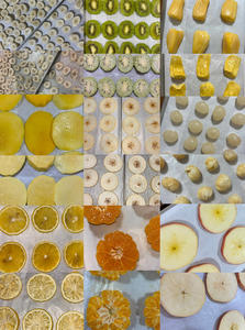 Máquina de Secado por Congelación al Vacío Industrial de 18 Bandejas, 5m2 -70, 60-70kg, para Frutas, Verduras, Manzana, Aguacate, Plátano y Carambola - Product Image 4