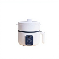 Marmite électrique multifonction antiadhésive standard UE/Royaume-Uni/États-Unis, compatible international, avec fonctions de cuisson, de friture et de fusion de cire, à commande mécanique par bouton-poussoir