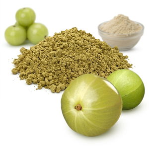 Polvo de Fruta de Amla 100% Puro, Certificado GMP e ISO, Ingrediente Cosmético de la India a Precios de Fábrica - Product Image 1