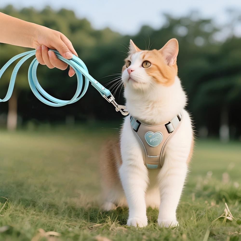 PU Leather Dog & Cat Leash – Durable Pet Walking Lead with Alloy Buckle for Outdoor Use - View 3