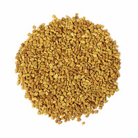 Fenugrec biologique/Poudre de fenugrec-Haute pureté et nutriments riches