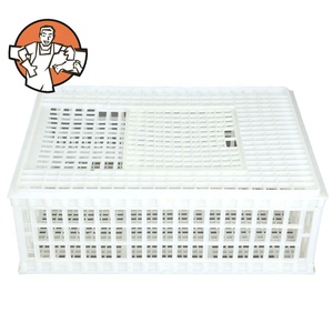 poultry equipment plastic chicken transport crate