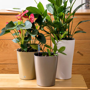 Jardinière empilable porte-plante luxe null moule fenêtre succulente clair mini style jardin extérieur décor à la maison pot <span class=keywords><strong>de</strong></span> fleur - Product Image 5