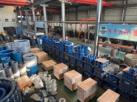 A105N Dismantling Joint Seal for Potable Water Thermosetting Powder Coated Forged Studs Nuts Washers PN10-PN40 Flange