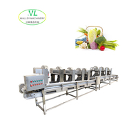 Déshydrateur à air soufflé motorisé à commande PLC automatique pour légumes, fabriqué en Chine