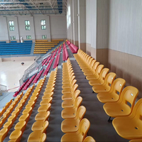 Chaises de stade en HDPE personnalisées, durables, résistantes aux intempéries, prix d'usine, parfaites pour les stades et les arènes