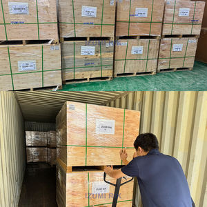 ชุดกรองน้ำมันเชื้อเพลิง IZUMI <span class=keywords><strong>4816636</strong></span> สำหรับเครื่องยนต์ Perkins อะไหล่ทดแทนคุณภาพสูง ขายส่ง - Product Image 6