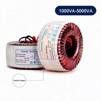 Transformateur toroïdal 250VA 220V vers 110V, transformateur de puissance toroïdal abaisseur de tension pour alimentation d'amplificateur audio HiFi