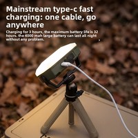 Lampada da Campeggio a LED Portatile Ricaricabile Magnetica 5W 5V con Batteria a Lunga Durata, Luce da Lavoro per Esterni, Ideale per Viaggi Transfrontalieri