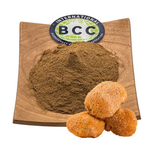 مستخلص فطر عرف الأسد العضوي بالجملة، مسحوق مستخلص فطر عرف الأسد - Product Image 1