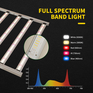 Lámpara de Cultivo <span class=keywords><strong>LED</strong></span> de Alto Rendimiento de 4x8 pies, Espectro Completo UV IR, 1800w 1600w 660nm 730nm, para Invernadero - Product Image 2