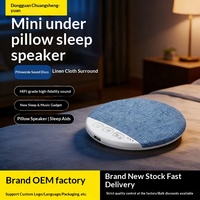 Nouvel Oreiller d'Aide au Sommeil 2026 avec Réduction du Bruit Blanc pour la Maison, Autonomie de 5 à 10 Heures, Haut-Parleur Audio en Plastique