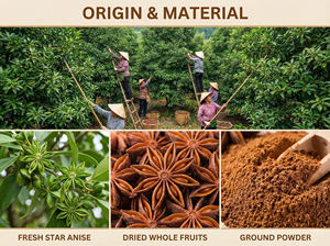 Anís Estrellado Entero de Marca Privada OEM, Bolsa de Papel Kraft de 200g, Empaque Personalizado, Especia Premium de Cosecha Otoñal, Suministro Rápido de Fábrica ODM - Product Image 4