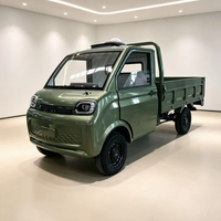 Véhicule utilitaire électrique à 4 roues de haute puissance, couleur personnalisée, pour adultes