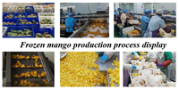 Iqf Bevroren Mango Fruit Plak Premium Kwaliteit Durian Helften Brokken Bulk Verpakt China 'S Beste Leverancier