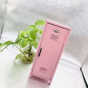 ガールズ ピンク スモール メタル Ellie キャビン ストレージ ピンク ミニ ロッカー おもちゃ キッズ カジノ キャッシュ ボックス - Product Image 5