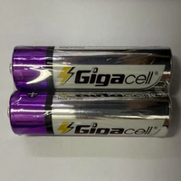 Piles AA en gros Maxpower Heavy Duty Power Carbon Zinc Double A NO.5