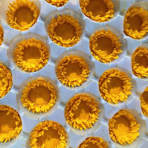 H102 Fiori Secchi e Fiori Eterni, Girasoli e Fiori Simili ai Girasoli, Materiali Fai-da-Te per Decorazioni e Resina - Product Image 1