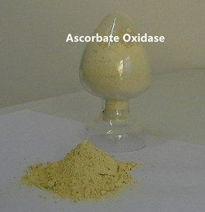 Enzyme Ascorbate Oxidase à Bon <span class=keywords><strong>Prix</strong></span> - Product Image 3