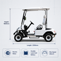 Voitures de golf tout-terrain chinoises à bas prix, personnalisées, de haute qualité, à 2 places, polyvalentes, pour le tourisme, le camping et les clubs