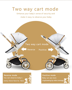 โรงงานขายส่งโดยตรง รถเข็นเด็กแบบ High Landscape รุ่น Dearest 2 in 1 - Product Image 3