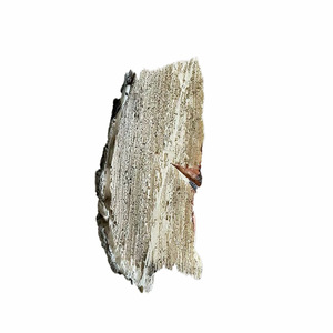 Madera de abedul, tronco de madera de abedul, <span class=keywords><strong>leña</strong></span> de abedul - Product Image 3