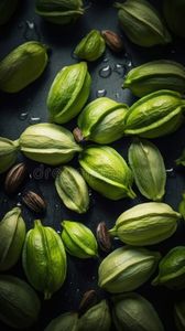 Gousse de cardamome verte, épices séchées en sac en coton, graines aromatiques naturelles pour la cuisine et le thé, DALAI IMPEX Orissa - Product Image 6