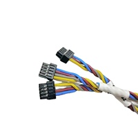 Harnais de câblage pour portières de voiture et ordinateurs, personnalisable OEM, avec isolation PBT, indice de protection IP65, options OEM - Approvisionnement direct usine