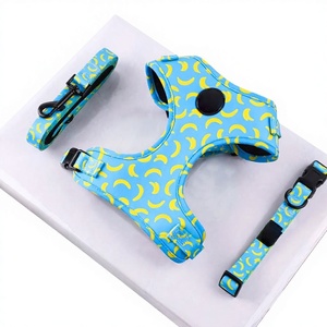 कस्टम थोक <span class=keywords><strong>2026</strong></span> फल मटर पालतू कॉलर हाथ मुक्त कुत्ते पट्टा का उपयोग लक्जरी सबलिमिनेशन कस्टम हार्नेस कुत्ते - Product Image 5