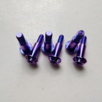 Grosir baut topi runcing soket heksagon bintang Torx Titanium Gr5 DIN912 M4 M5 M6 M8 M10 kekuatan tinggi