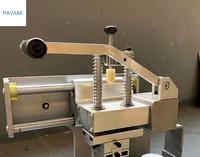 Machine de tampographie manuelle de type table pour bracelets en silicone, verre, plastique avec godet d'encre monochrome