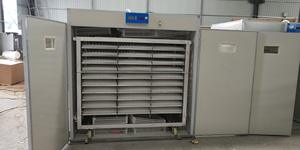 Incubatrice Automatica di Alta Qualità per 1000 Uova per Uccelli/Anatre/Quaglie/Rettile/Polli Motore Principale per Incubatrice per Oche - Product Image 6