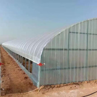 Serre polytunnel gothique tropicale préfabriquée GY pour culture hydroponique de tomates, champignons et légumes, serre à toit dentelé d'occasion à vendre